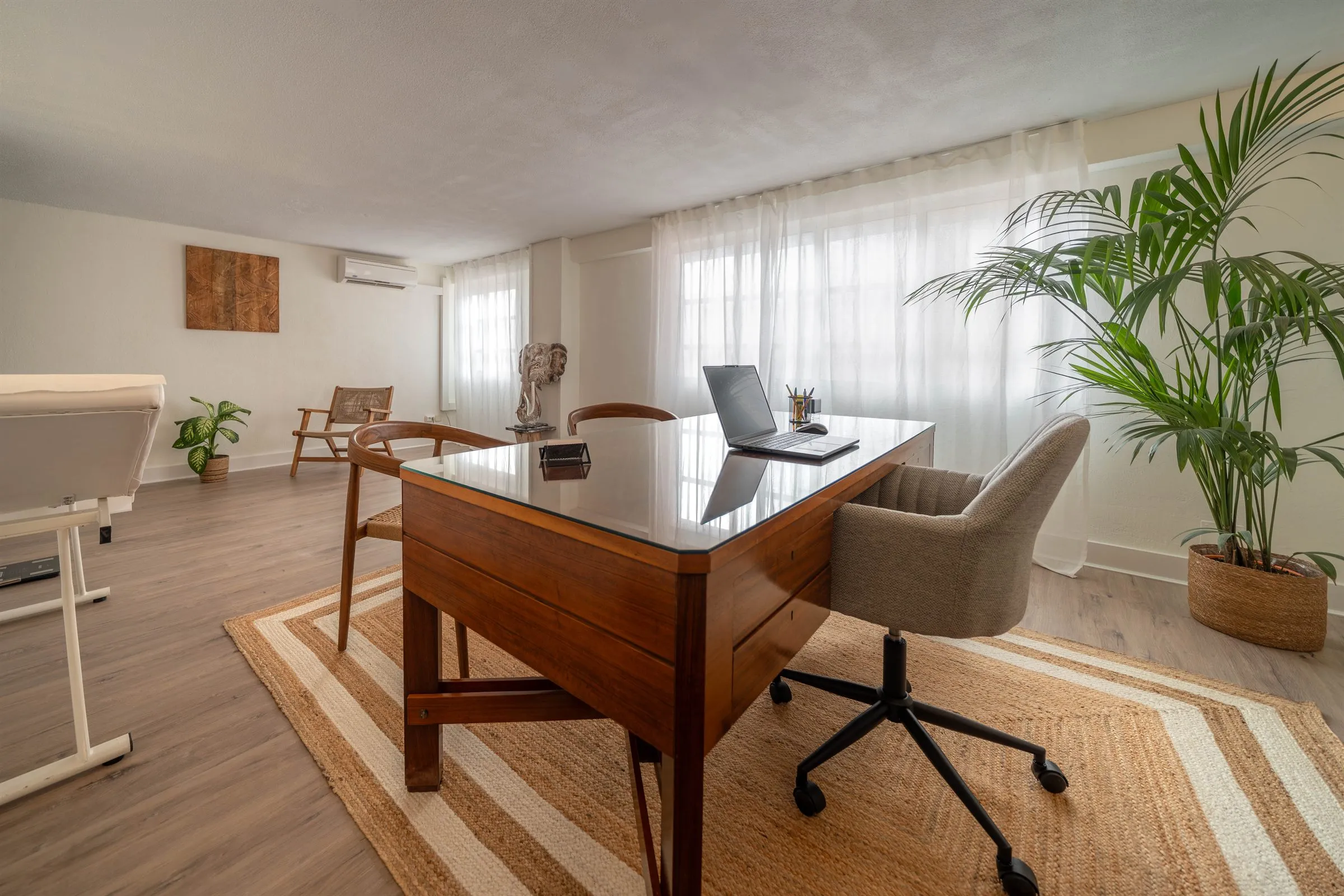 Escritorio de la consulta de Integracel Clinic con luz natural y una planta