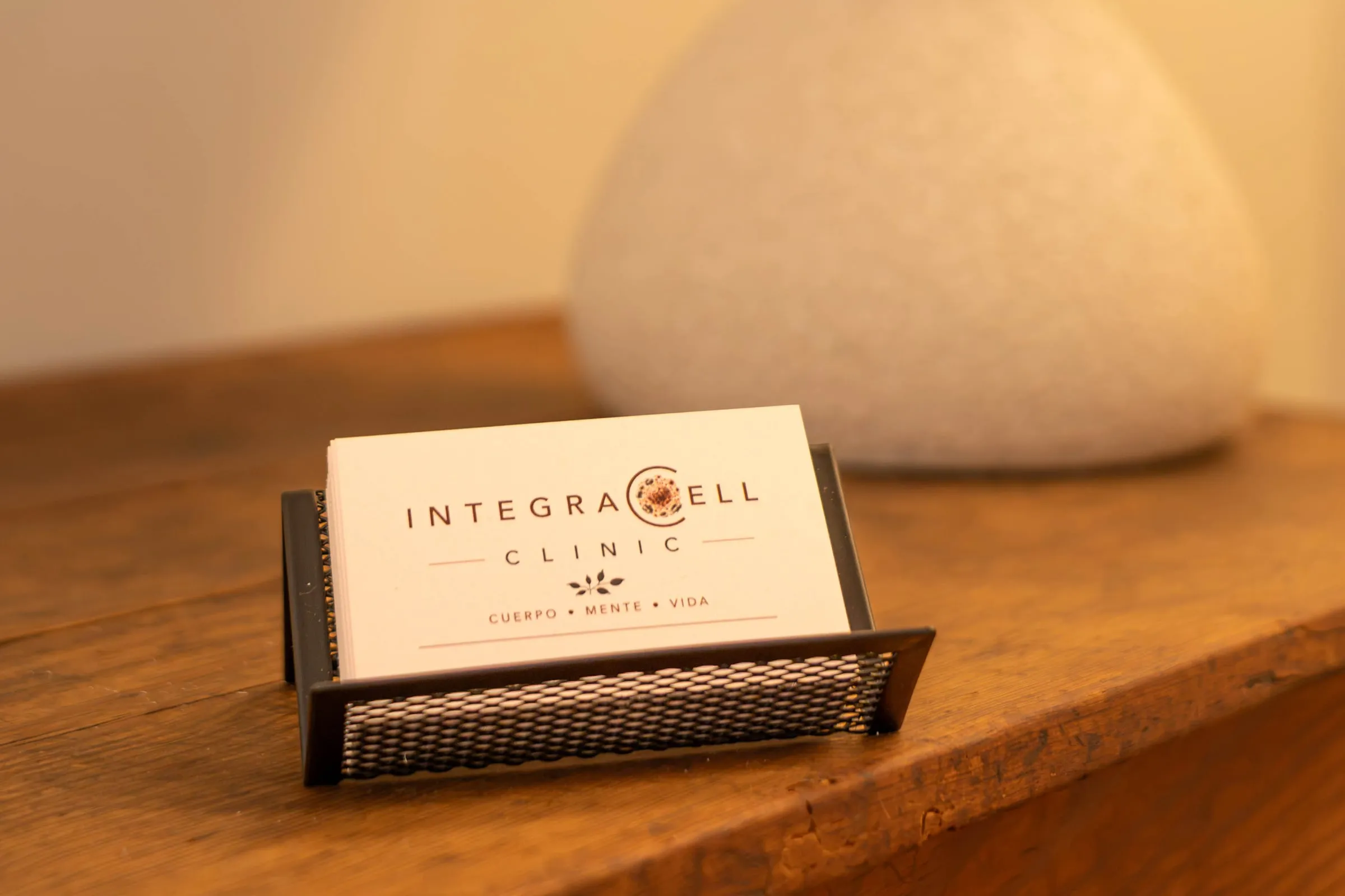 Tarjetas de visita de Integracel Clinic en su soporte sobre una mesa de madera, con un jarrón de flores secas al fondo